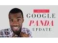 Google Panda Update Google Search Algorithm