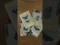 Butterfly specimen slides