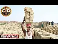 Download Lagu खूनी पर नज़र रखने के लिए अभिजीत को करनी पड़ी मज़दूरी | CID New Episodes 2025 | Crime Stories