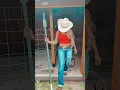 Download Lagu #morganwallen #countrymusic #foryou #country #cowgirl #youtubeshorts