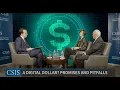 A Digital Dollar Promises and Pitfalls