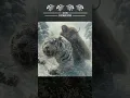 Download Lagu #ai #aiart #power #metal #ironmaiden -👨:My wolf, let's rendezvous with Tiger Rider at the ridge.