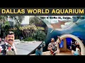 The Dallas World Aquarium in 2024 Dallas Texas