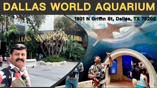 The Dallas World Aquarium in 2024 Dallas Texas