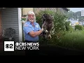 Sparta Police Department rescues bald eagle