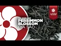Download Lagu Persimmon Blossom (Ya Sai)