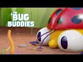 Download Lagu BUG BUDDIES in Love Bug... and more! 🐛🐞👻 New Delicious Cartoons Every Week 😍 | Cartoons for Kids
