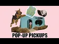 GOLF LE FLEUR POP UP PICKUPS