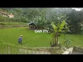 Download Lagu HUTAN GUNUNG SAWAH \u0026 SUARA BANCET