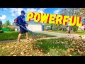 BEFORE YOU BUY AN ECHO PB-580T LEAF BLOWER WATCH THIS