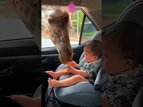 COITADINHO DO BEBÊ