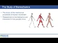 The Physics of Human Movement Biomechanics Robotics Rehabilitation Dr Karen Nolan