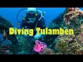 Diving at Matahari Tulamben Resort Bali