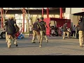 Download Lagu BANNA RE MOKGOBE DANCING AT BIRCH ACRES MALL-TEMBISA-PART