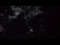 Howler monkey sounds at night