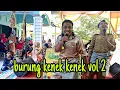 Download Lagu Burung kenek kenek Vol2 , Lagu ini Menceritakan Sebuah kisah !!!?
