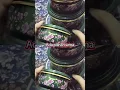 Download Lagu https://vt.tiktok.com/ZSDjgfeNF/