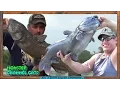 CHICKEN LIVERS BOBBERS BIG CATFISH