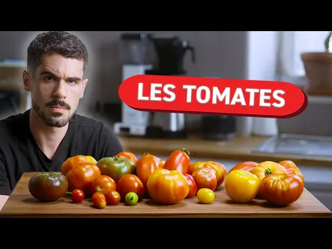TOMATES : toutes les variétés se valent-elles ? (et comment choisir)