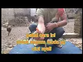 Download Lagu pakai cara ini untuk ayam muda yg ciut nyali