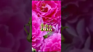 هلا يادار كل عام نجيكي دندنها