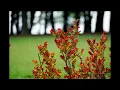 Dylan John Sparkes - No More Time