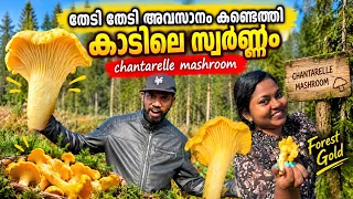 കാട്ടിലെ സ്വർണ്ണം കിട്ടി 😀| gold from forest #mallusinfinland #malayalam #familyvlog #mushroom 