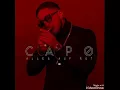 Download Lagu Capo Lambo Diablo GT