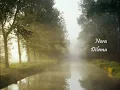 Nora - Dilema