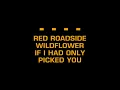Blake Shelton - She Wouldn't Be Gone (Karaoke)