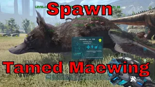 ark How To Spawn In A Tamed Maewing in ark