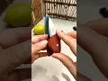 Download Lagu #fruitknife #Outdoor household multifunctional #knife #Good knife #youtube #weaponshorts #trending