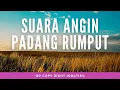 Download Lagu Suara Angin Padang Rumput - Adem dan Tenteram
