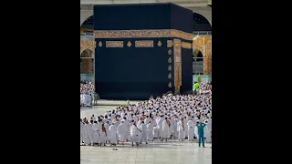 أنشودة قبلة قلبي كعبة ربي لمشاري العفاسي دندنها