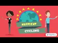 Nutrient cycling