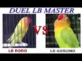 Download Lagu BIKIN GEGER DUEL LOVEBIRD MASTER KUSUMO vs RORO