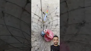 اسهل طريقة لصيد السمك بسرعه صيد السمك سمك صيد اسرار في كتاب 