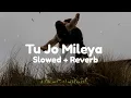 Tu Jo Mileya (Slowed + Reverb) Juss × MixSingh | New Romantic  Song | Lofi Song Official 
