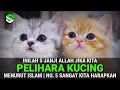 Download Lagu 5 Janji Allah Bagi Yang Suka Memelihara Kucing Menurut Islam, No. 5 Paling Diharapkan