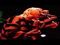 NIRVANA - You Know You're Right - THE ONLY LIVE PERFORMANCE! Chicago 1993