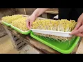 Download Lagu No need to water - The secret to making bean sprouts at home quickly and with little effort