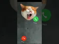 Download Lagu call ringtone download// call ringtone download// #music #smartphone #ringtones #song #imessageapps