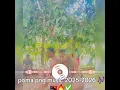 Download Lagu Poma vibration png music 2025-2026 🎶🇵🇬❤️‍🔥🔥✅️#pngmusic2025 