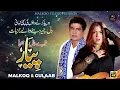 Download Lagu Tere Naal Pyar Hoya | Malkoo | Gulaab | Lastet Punjabi Song | Malkoo Studio