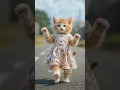 Download Lagu ralakan aku..  #shots #cat #imut #kucinganggoralucudanimut