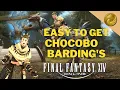 SUPER EASY CHOCOBO BARDING S TO UNLOCK IN FFXIV - Guide For Chocobo Barding s For Any Level