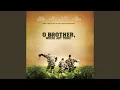 Download Lagu You Are My Sunshine