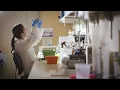 Dermatology Service Line Physician Recruitment Northwell Health