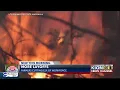 Farmers Insurance next big company doing job cuts