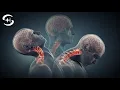 Download Lagu Botgenezingsfrequentie - botten regenereren (muziektherapie 418,3 Hz)